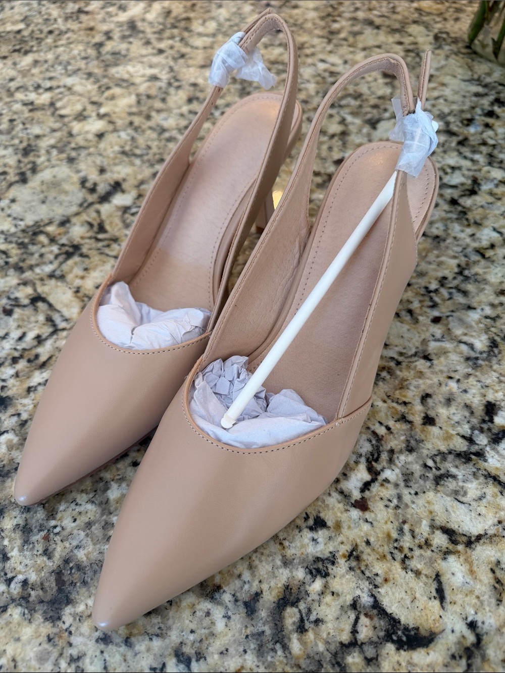 Women's Nude Slingback Pointed-Toe Pumps